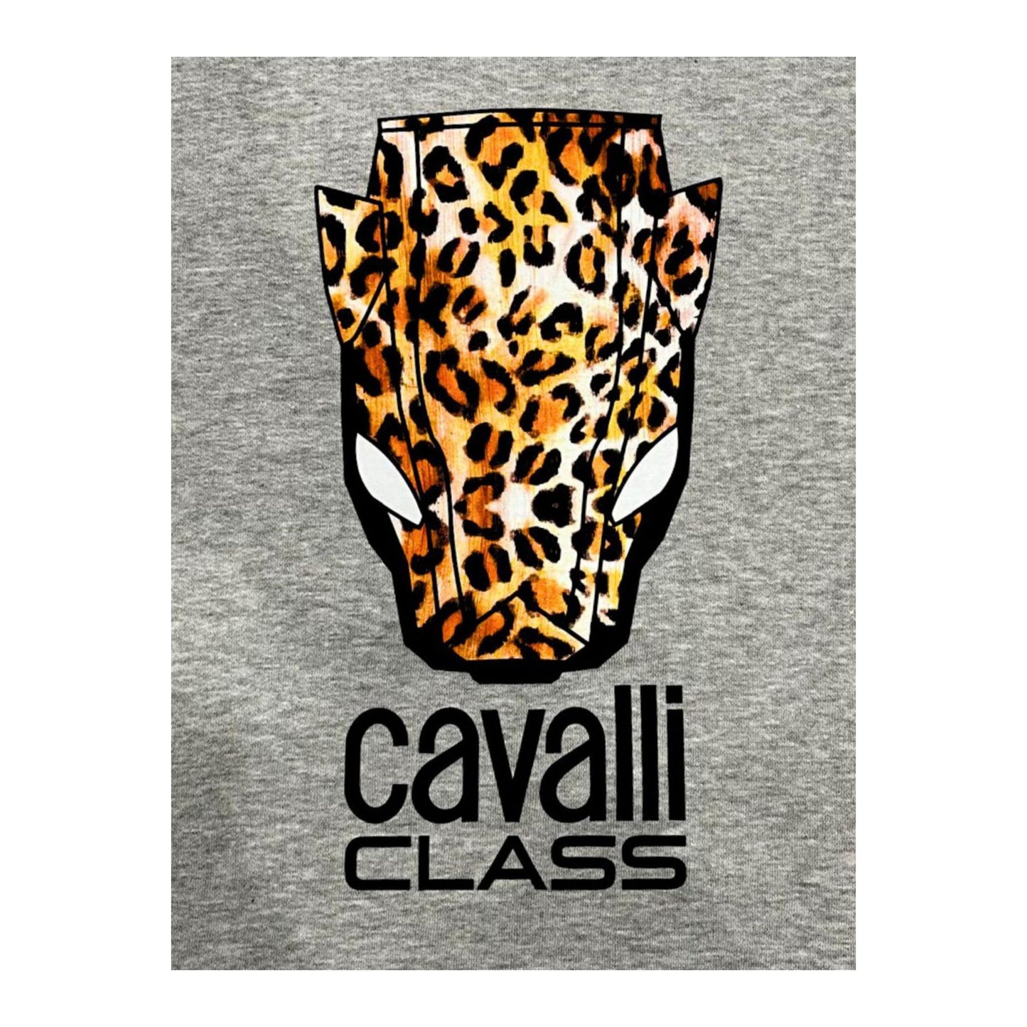 Cavalli Class Sweat-shirts