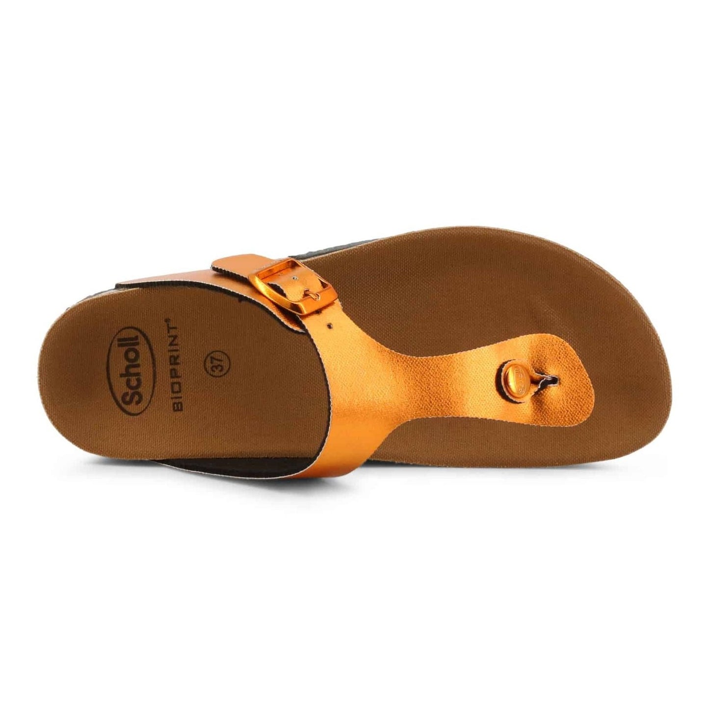 Scholl Nu-pieds et Tongs